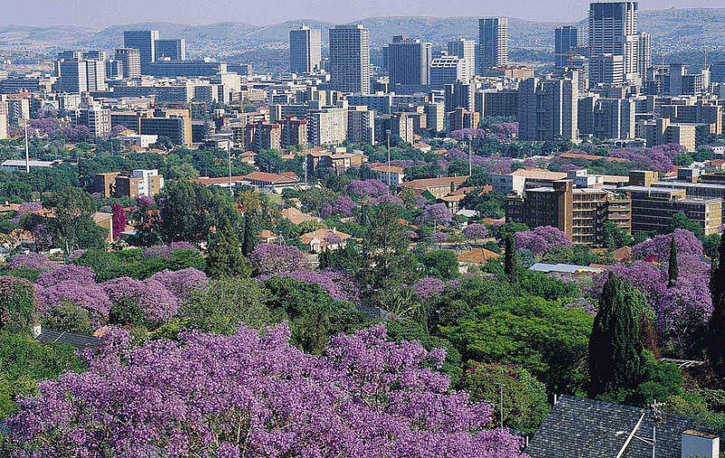 pretoria_jacaranda_city